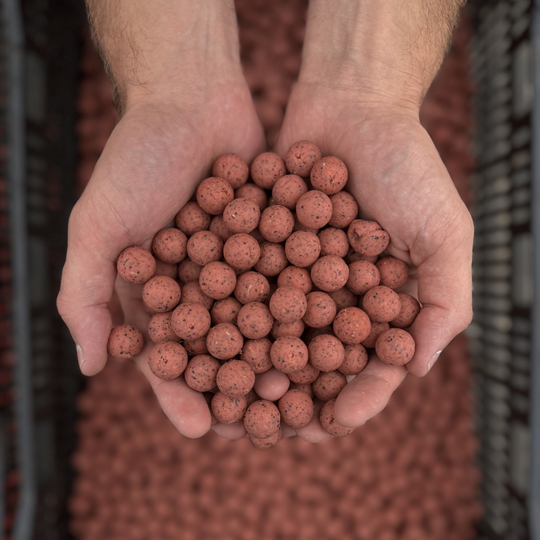 Sweet Pink Mussel Boilies