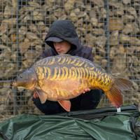 Ajo Rojo Boilies, foto 6