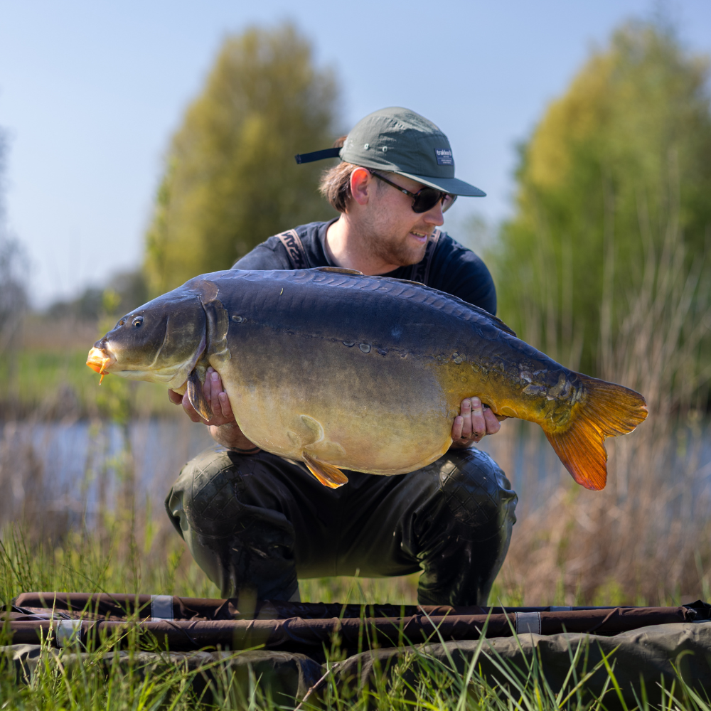 Sweet Pink Mussel Boilies