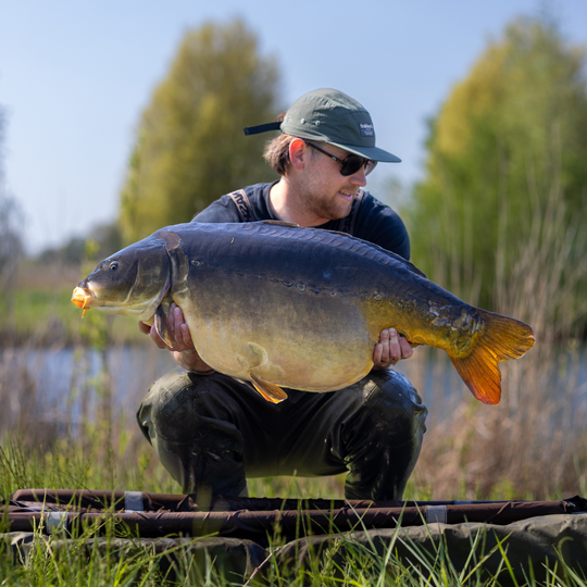 Sweet Pink Mussel Boilies