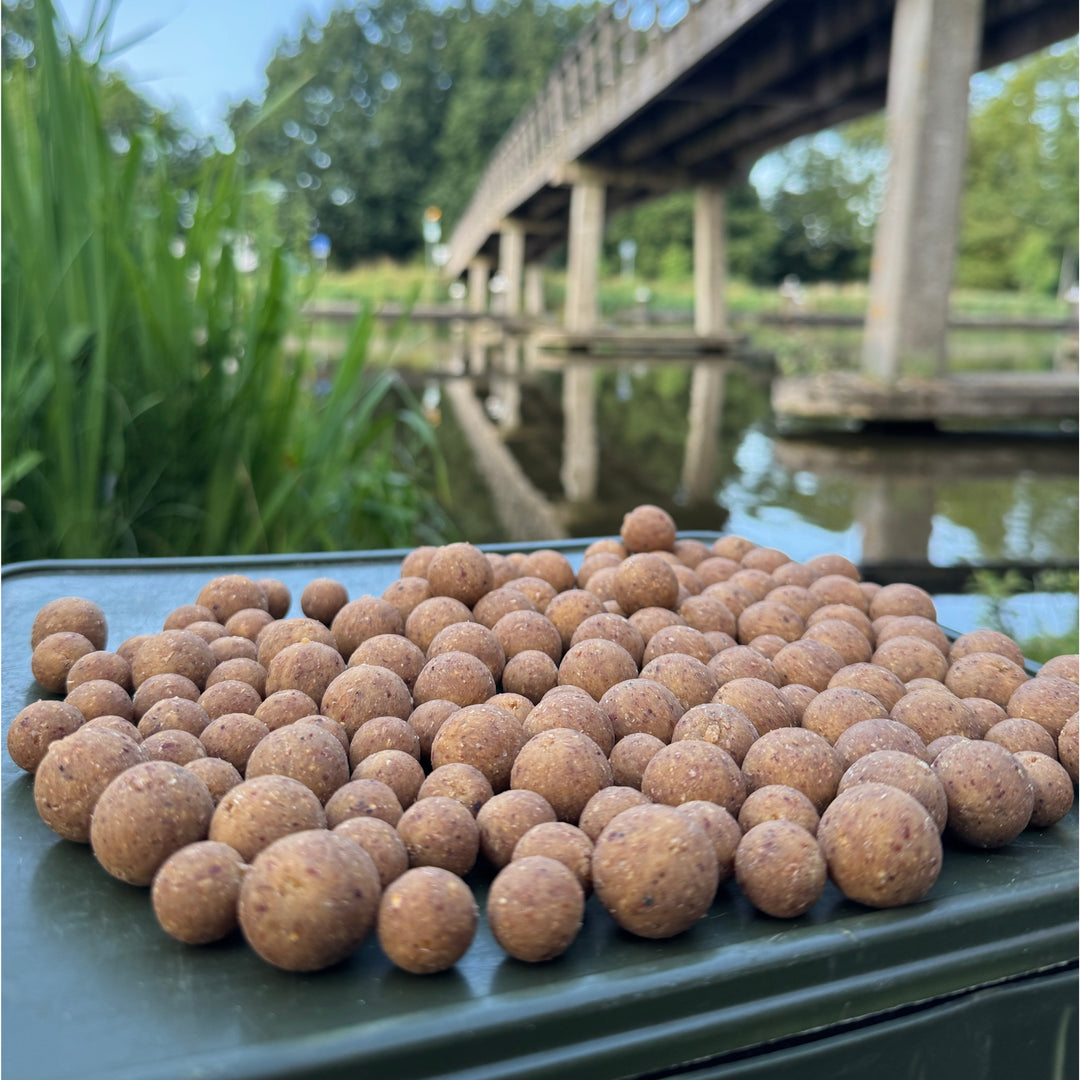 Squid Game Boilies
