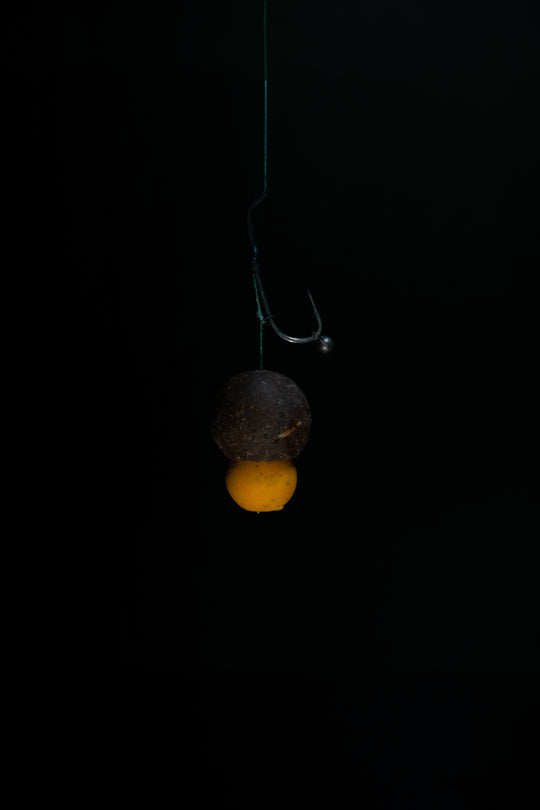 Maple Squid + 1kg Coco Choco Loco Deal